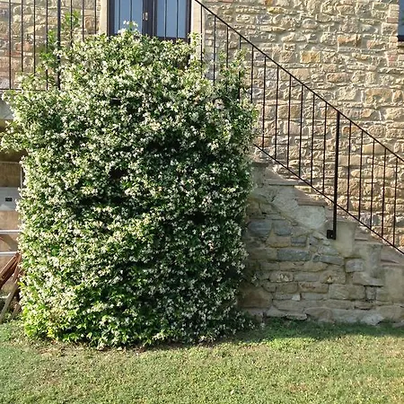 Bed & Breakfast Mulino Barchio 3*