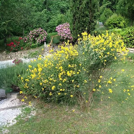 Mulino Barchio 3* Cupramontana