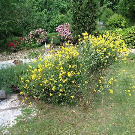 Mulino Barchio 3* Cupramontana