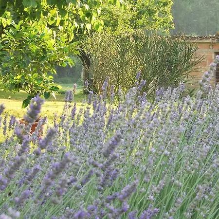 Mulino Barchio Bed & Breakfast Cupramontana