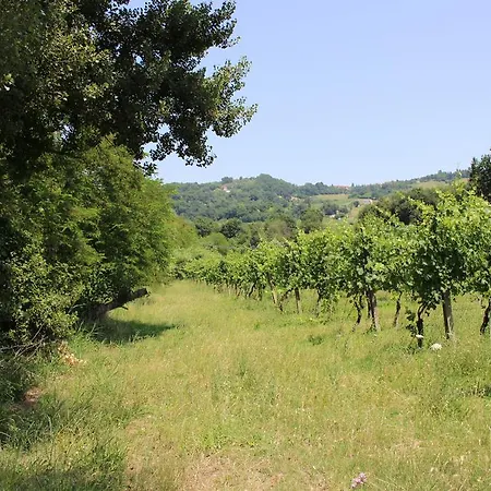 Mulino Barchio Bed & Breakfast 3*