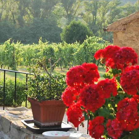 Mulino Barchio