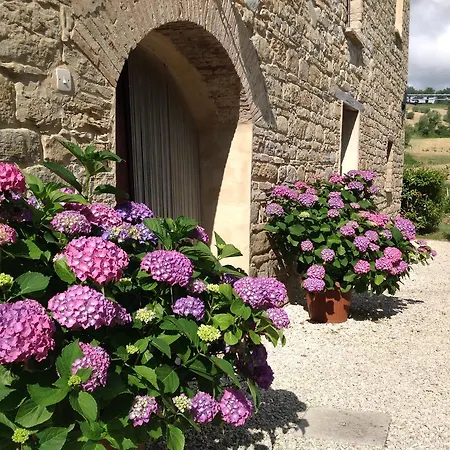 Mulino Barchio Bed & Breakfast 3*
