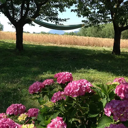 Mulino Barchio Bed & Breakfast