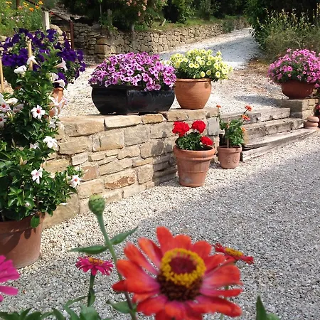 Mulino Barchio Bed & Breakfast