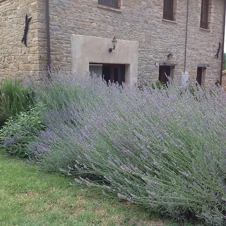 Bed & Breakfast Mulino Barchio