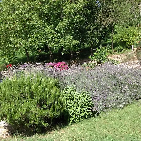 Bed & Breakfast Mulino Barchio