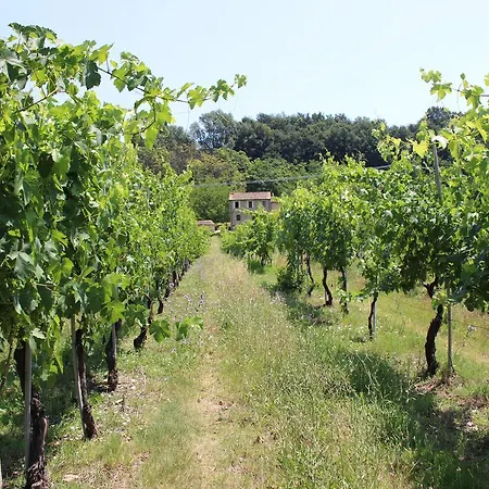 Bed & Breakfast Mulino Barchio 3*